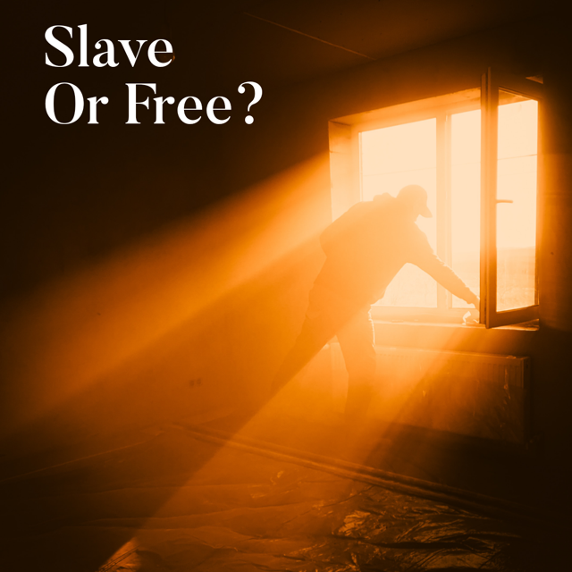 DON’T GO BACK FROM SONSHIP TO SLAVERY